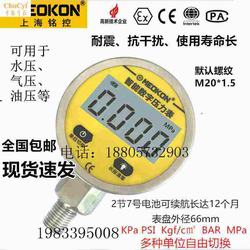 “天津tecsis數(shù)顯壓力表說明書“/