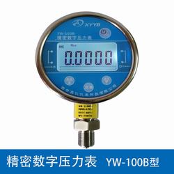 “帶模擬量輸出的數(shù)字壓力表“/