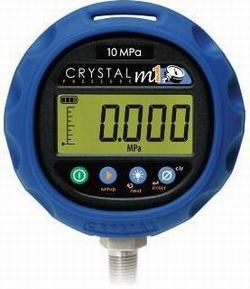 “蕪湖汽車數(shù)顯充氣壓力表十大牌子好“/