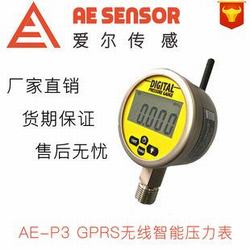 “南昌防爆數(shù)顯壓力表樂清廠家“/