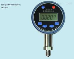 “株洲數(shù)顯壓力表和指針“/