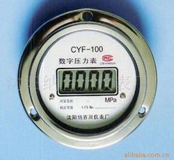 “濟(jì)南數(shù)顯電子壓力表