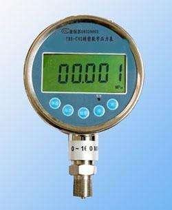 “青島精密數(shù)字壓力表技術(shù)報(bào)告“/