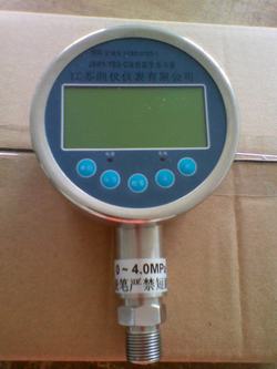 “重慶遠傳數(shù)字壓力表“/