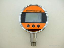 “貴陽小型數(shù)顯壓力表“/